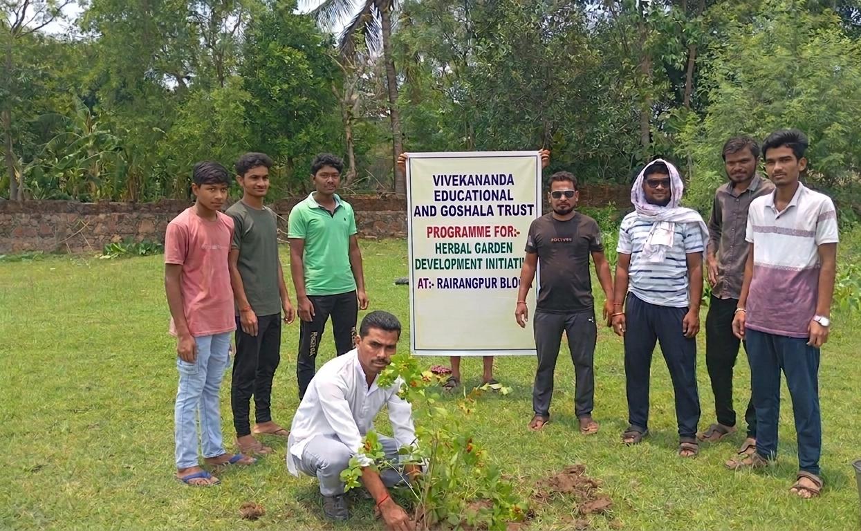 Team members participating in a herbal garden plantation activity