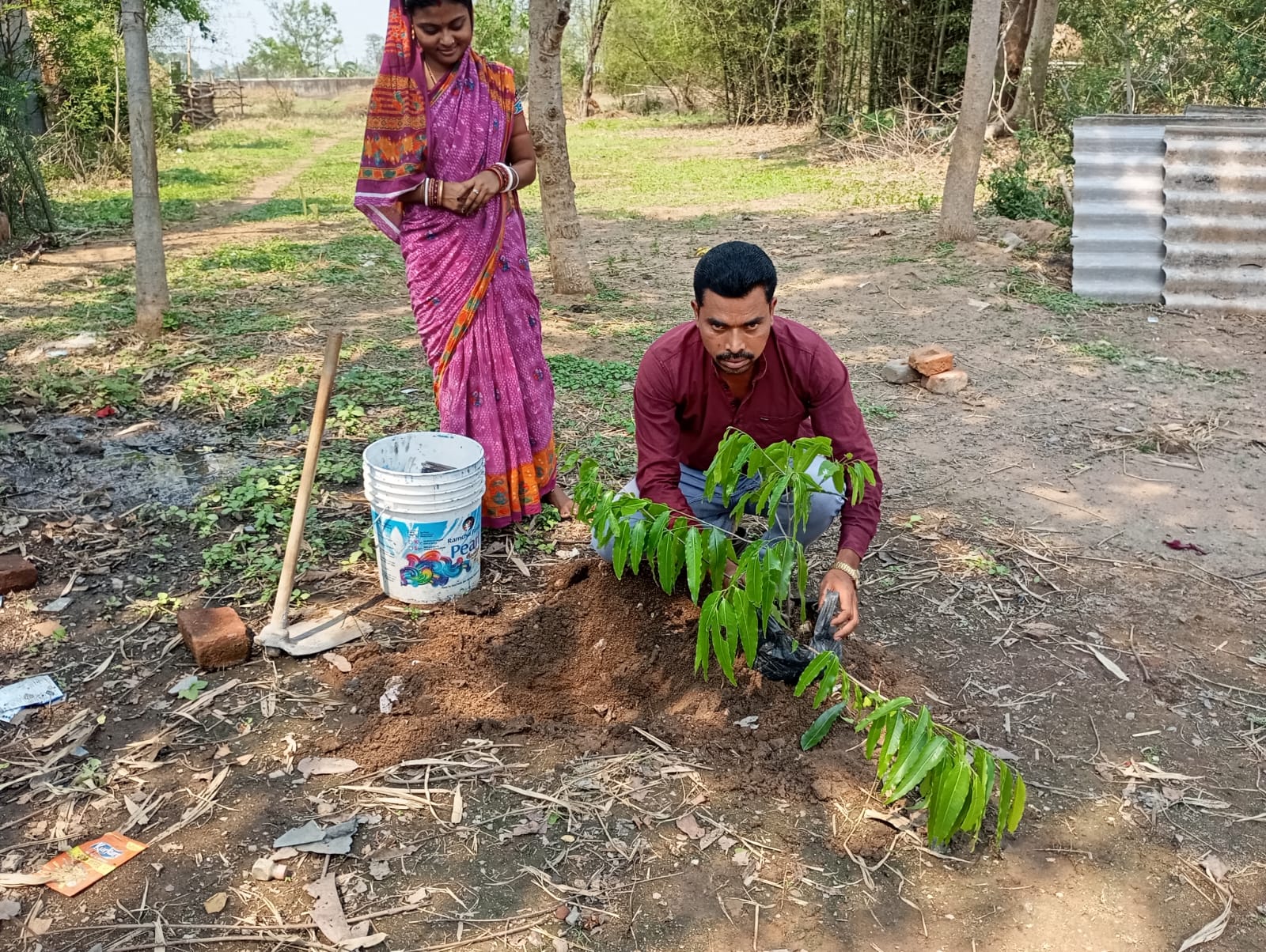 Community plantation activity